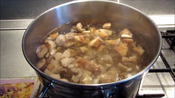 Суп из подберезовиков. Колько варятка подберёзовики в супе. Почему горит бульон при варке грибов.