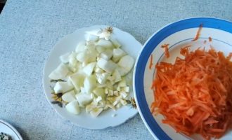 Морковь и лук мелко измельчили