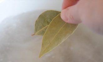 Пара листочков лаврового листа