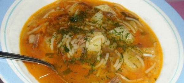 Суп с вермишелью и мясом